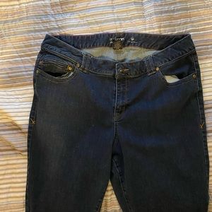 Lane Bryant Jeggings